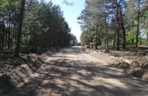 Zwirowa droga w lesie